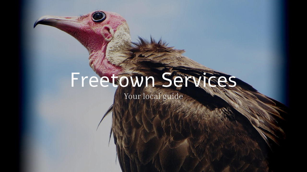 Freetown Services, Your local guide